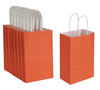 Small Orange Bag - QTY 100 - 39¢ Per Unit