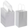 Small Silver Bag - QTY 100 - 39¢ Per Unit