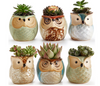 Owl Always  - QTY 50 - $5.79 Per Gift